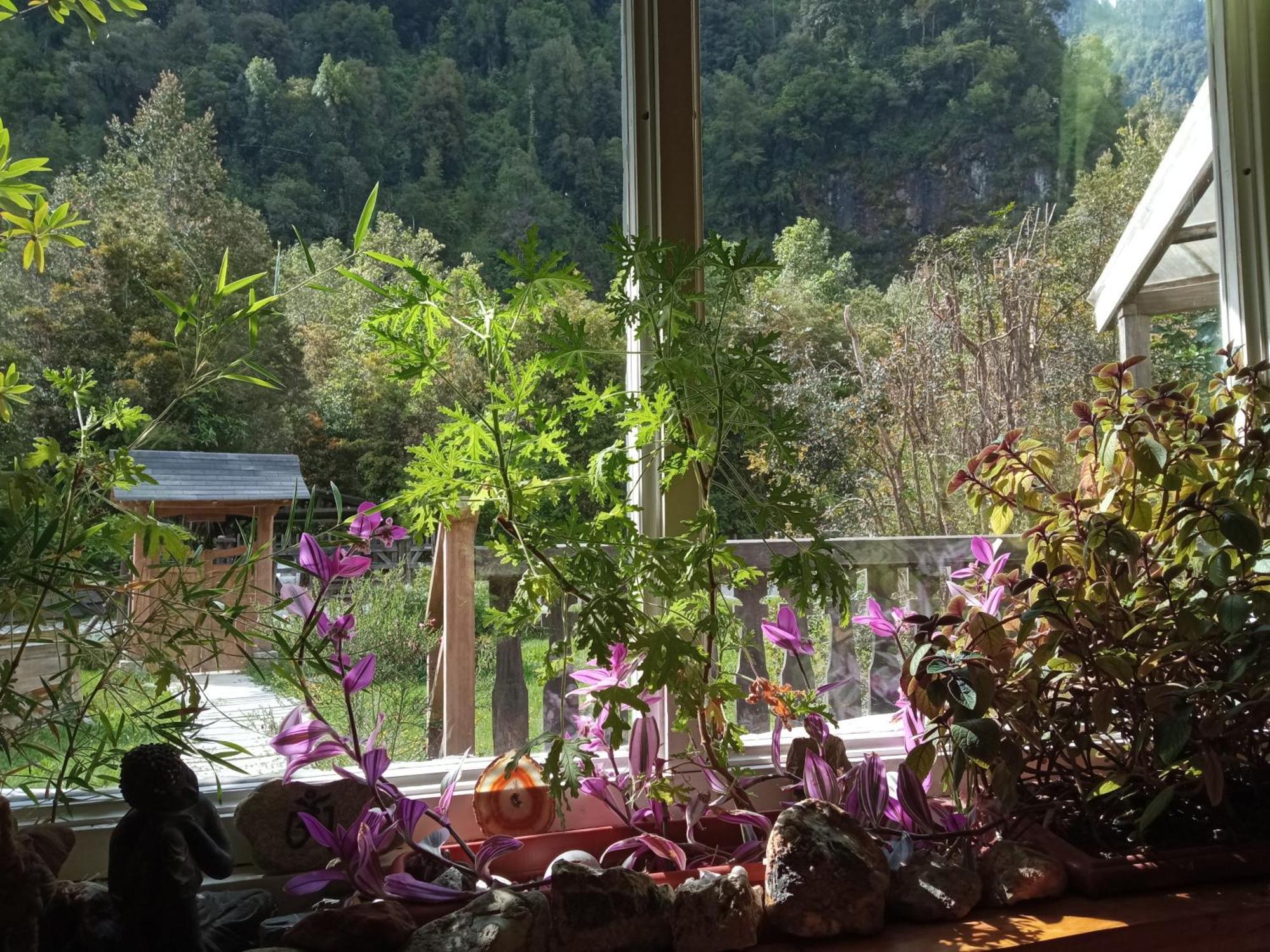 Guest house La Frontera Bed & Breakfast, Valle *