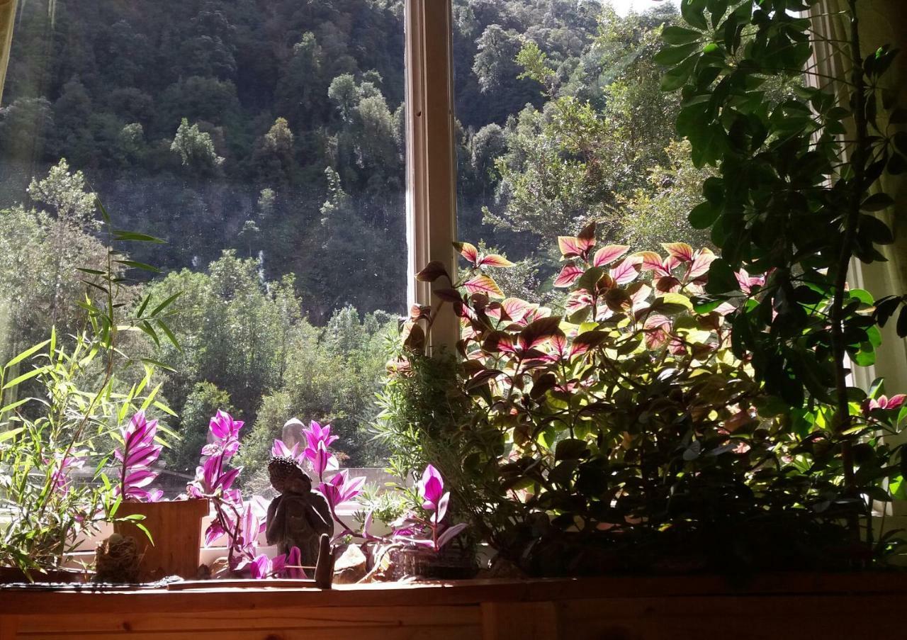Guest house La Frontera Bed & Breakfast, Valle